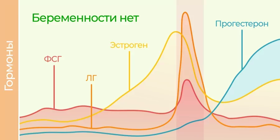 Почему «критические дни» иногда преподносят сюрпризы и что с этим делать